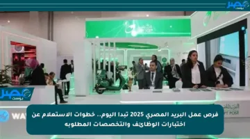 فرص عمل البريد المصري 2025 تبدأ اليوم.. خطوات الاستعلام عن اختبارات الوظائف والتخصصات المطلوبة